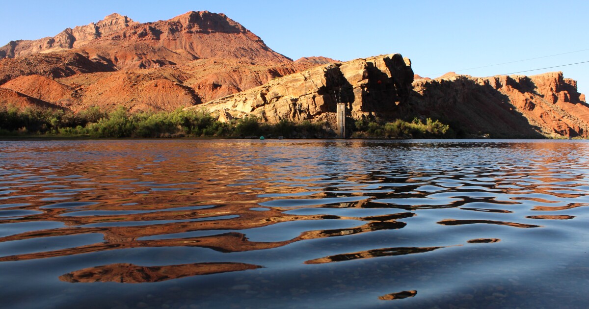 Low water-level view of a calm river reflecting red sandstone canyon walls in warm golden light, with green riparian vegetation and a monitoring post visible
