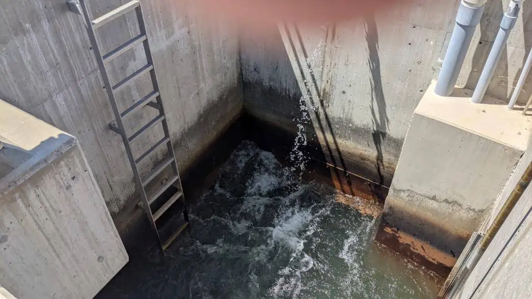 Concrete pump or filtration chamber pit viewed from above with turbulent water, a metal access ladder, and white PVC pipes — consistent with aquatic facility mechanical infrastructure.