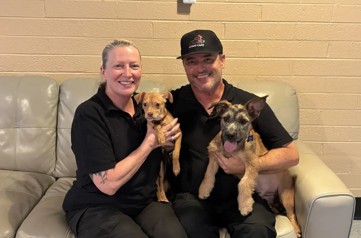Two people wearing matching black polo shirts and a black Stray Café branded cap sit on a leather sofa holding two small mixed-breed dogs and smiling at the camera.