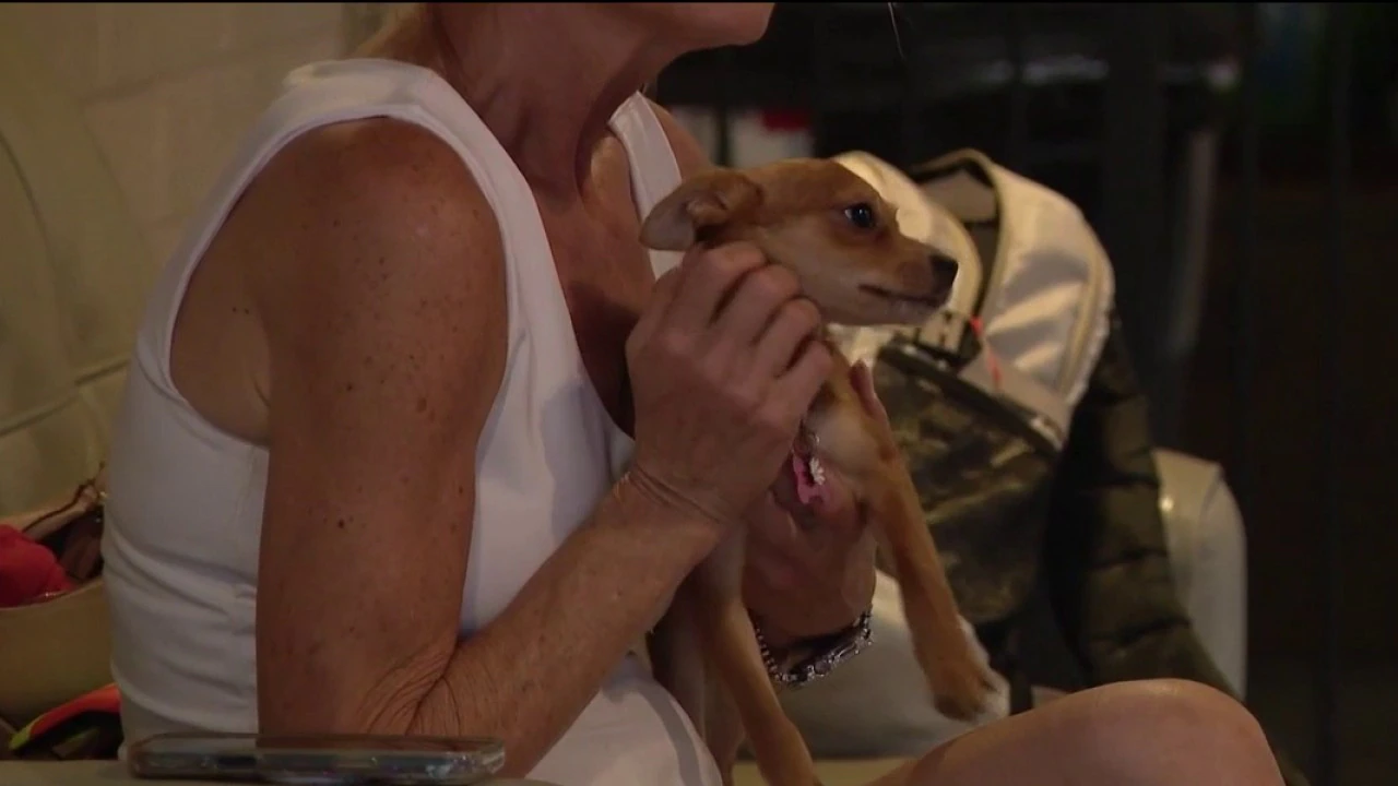 A person in a white sleeveless shirt holds a small tan puppy with a pink collar close to their face in an indoor setting.